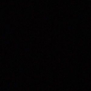 Meet your Posher, Nayelie